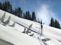 Ski1